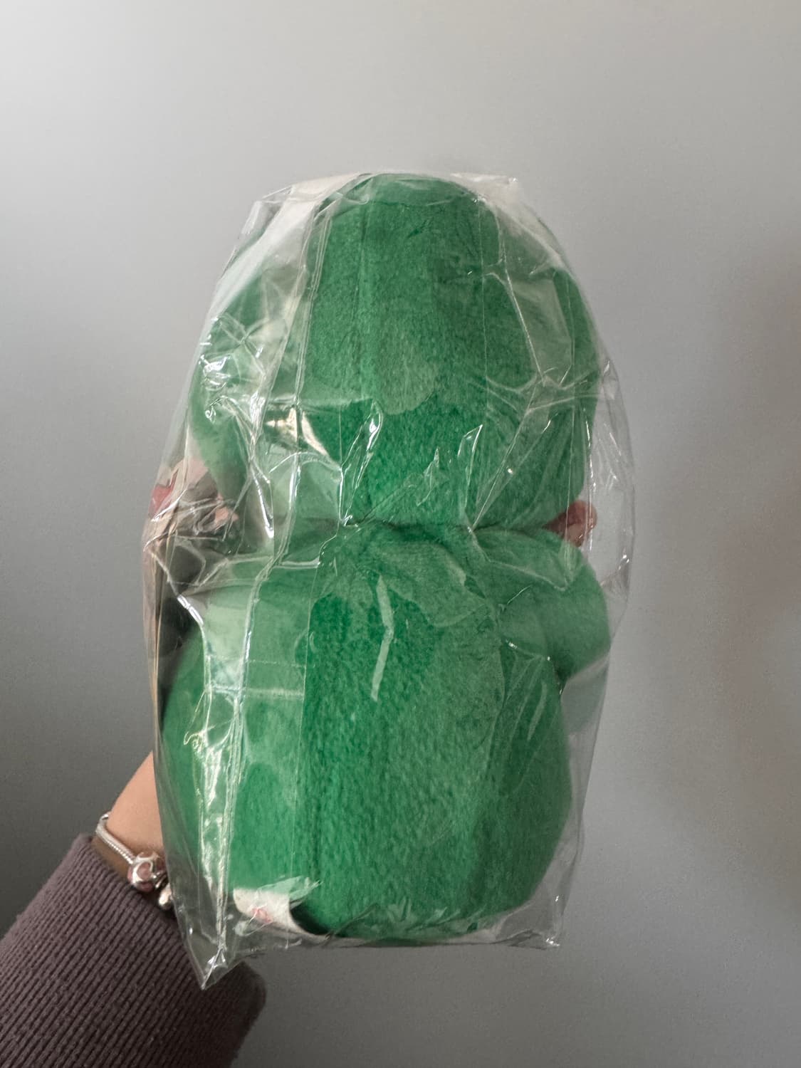 희귀 몬치치 카보스 오이타한정 지역한정 택 ㅇ 상품이미지3