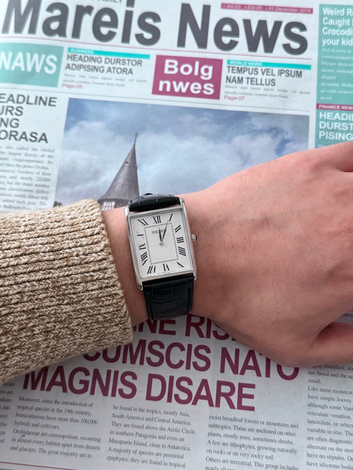 세이코 Seiko 나노 x 세이코 콜라보 탱크 상품이미지2