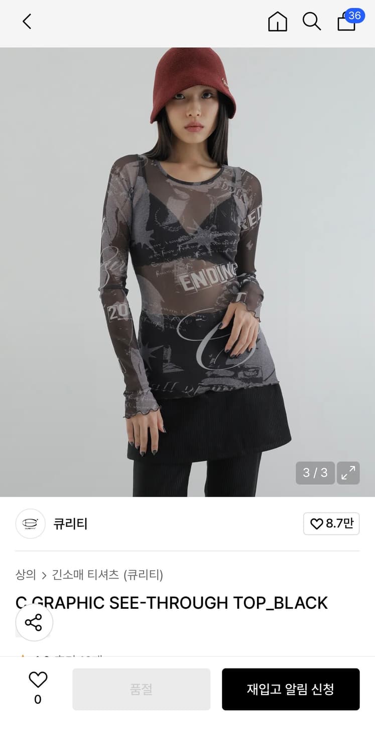 큐리티 그래픽 시스루티 C GRAPHIC SEE-THROUGH TOP 상품이미지2