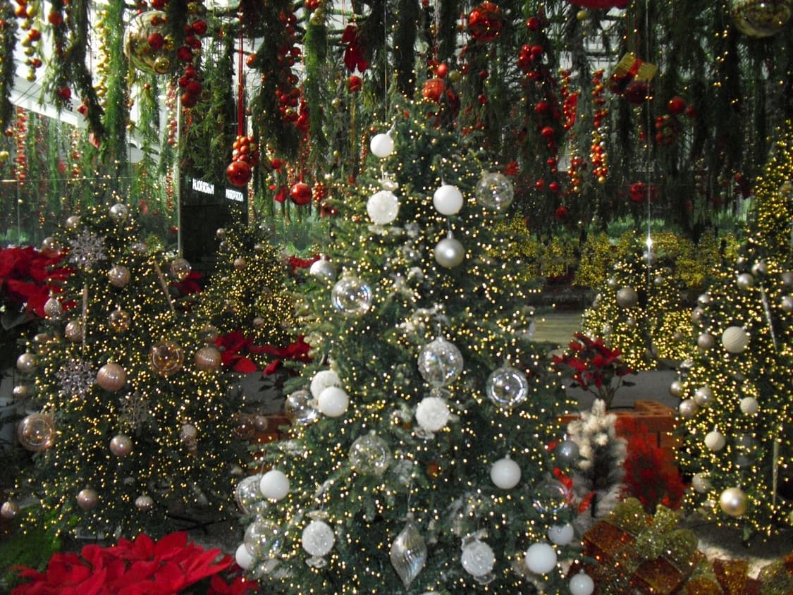 추가 할인X 코닥 이지쉐어 v1233 빈디지디카 디카 디지털 카메라 상품이미지10