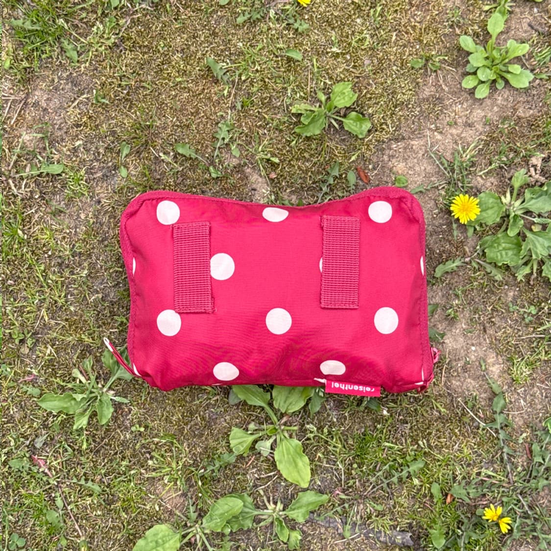 체리 도트 피크닉 백팩 상품이미지10