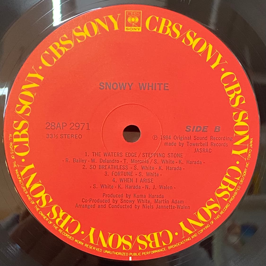 (LP-초민트시리즈) Snowy White - White Flames 상품이미지5