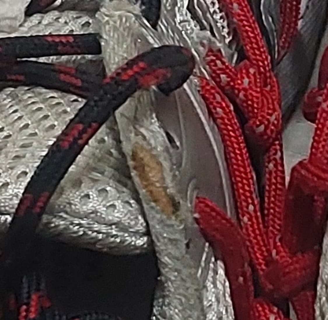 (260) asics x rokh 젤킨세이 상품이미지6