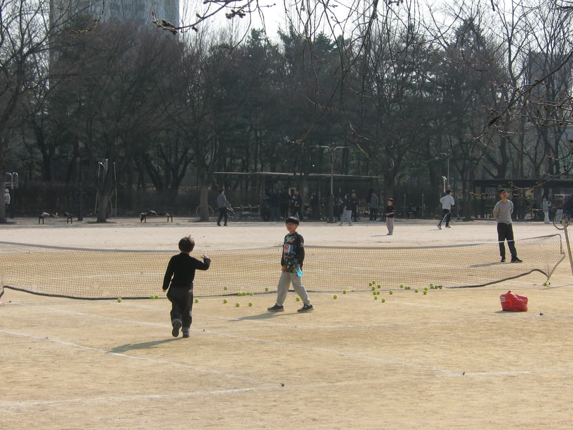 (희귀)캐논 Canon PowerShot tx1캠코더 디카 상품이미지9