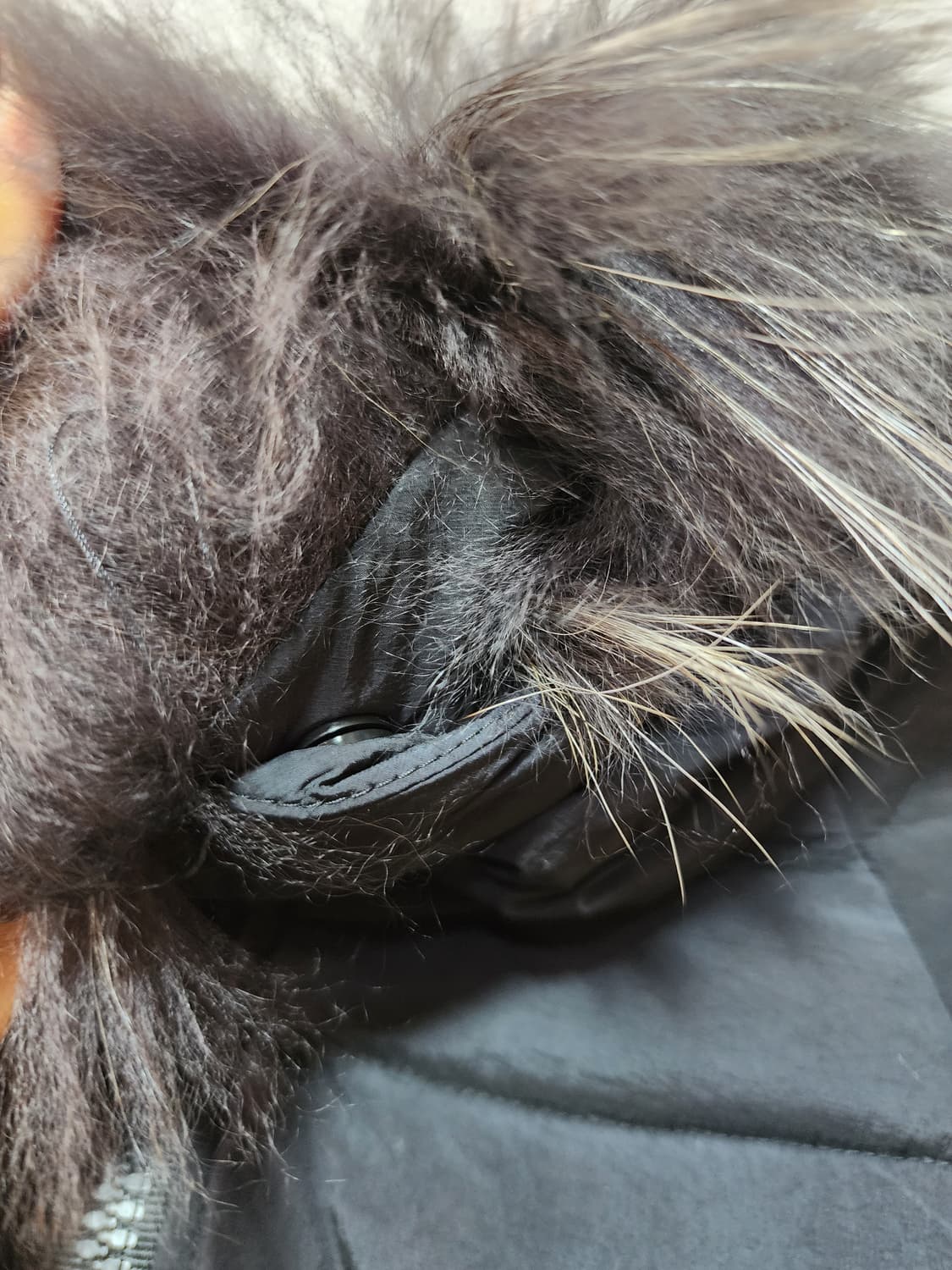 TATRAS 블랙 퍼 후드 숏패딩 양면 상품이미지4