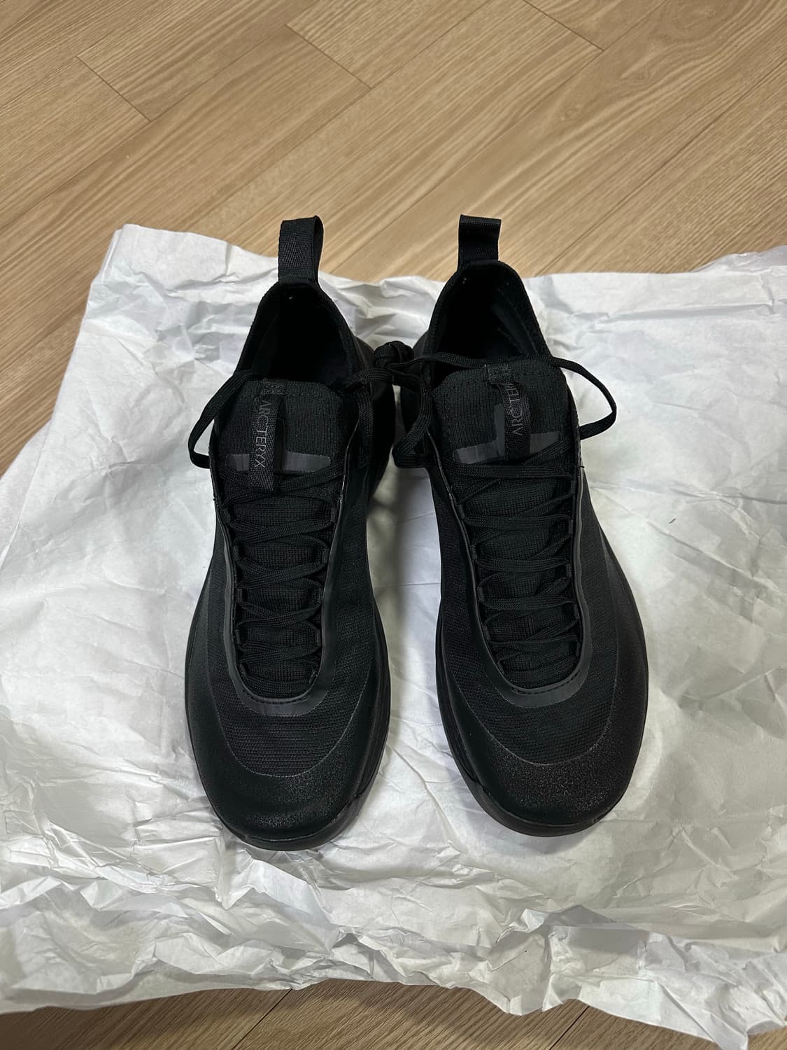 아크테릭스 버텍스 알파인 우먼 gtx 245mm 상품이미지1