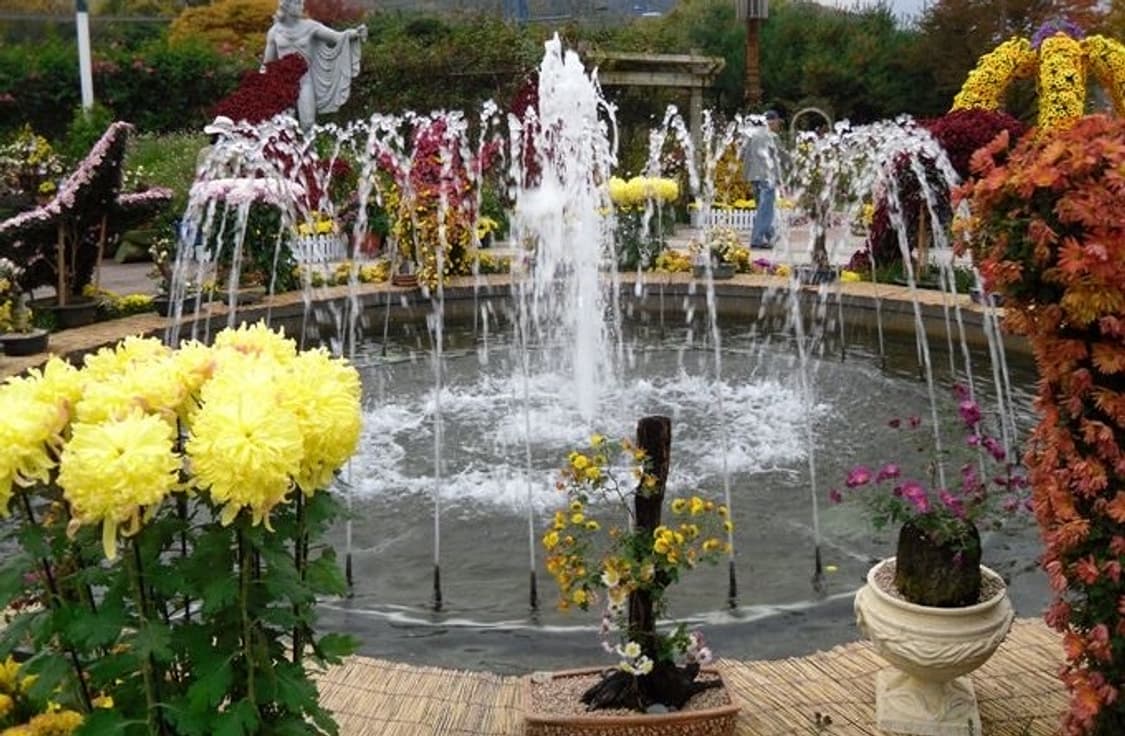 삼성 VLUU Samsung ES20 블랙 상품이미지2