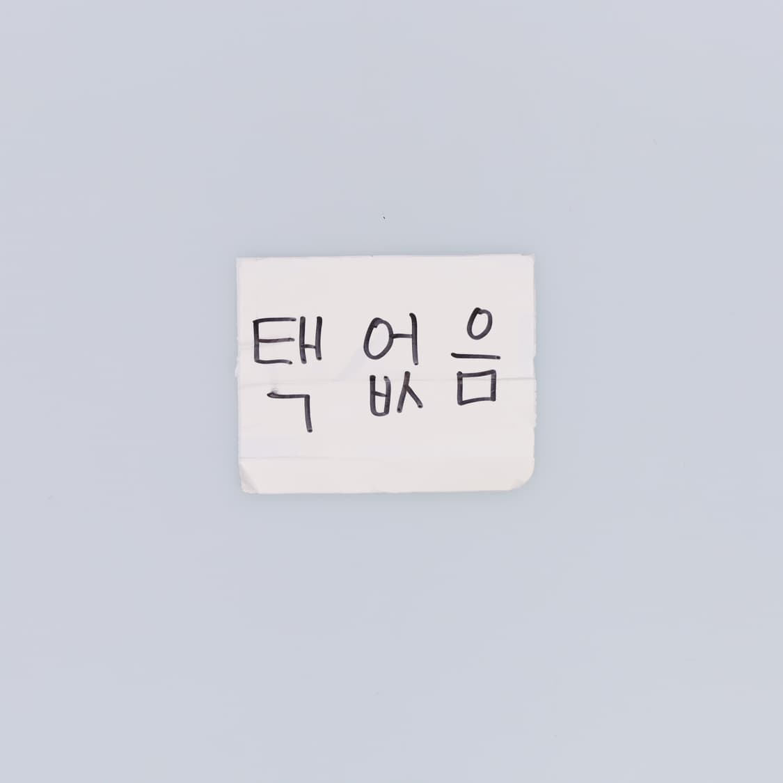 M 프린팅 여성 반팔 티셔츠 0323H1 상품이미지5