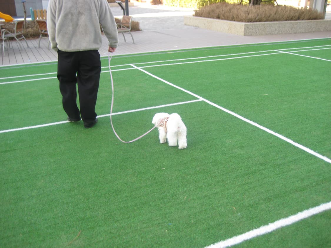 캐논 익서스 70 ixus70 ixy 10 작례  상품이미지5