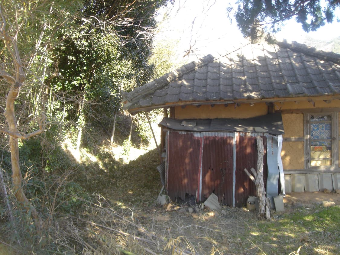 소니 사이버샷 T11 상품이미지9