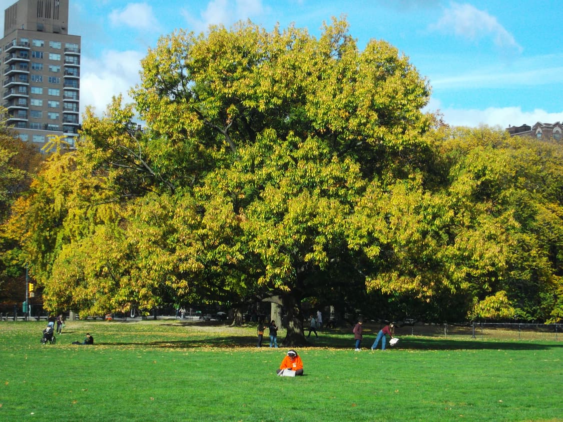 ✨빈티지 디카✨ 후지필름 파인픽스 finefix JX500 (작례O) 상품이미지8