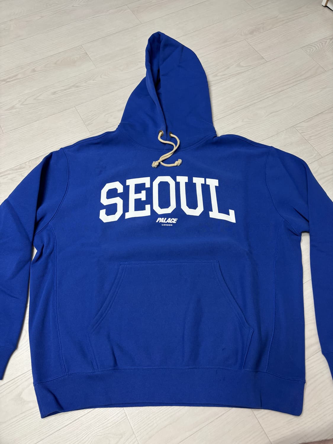 팔라스 x 챔피온 샵 후드 서울 블루 - 24FW L 상품이미지1