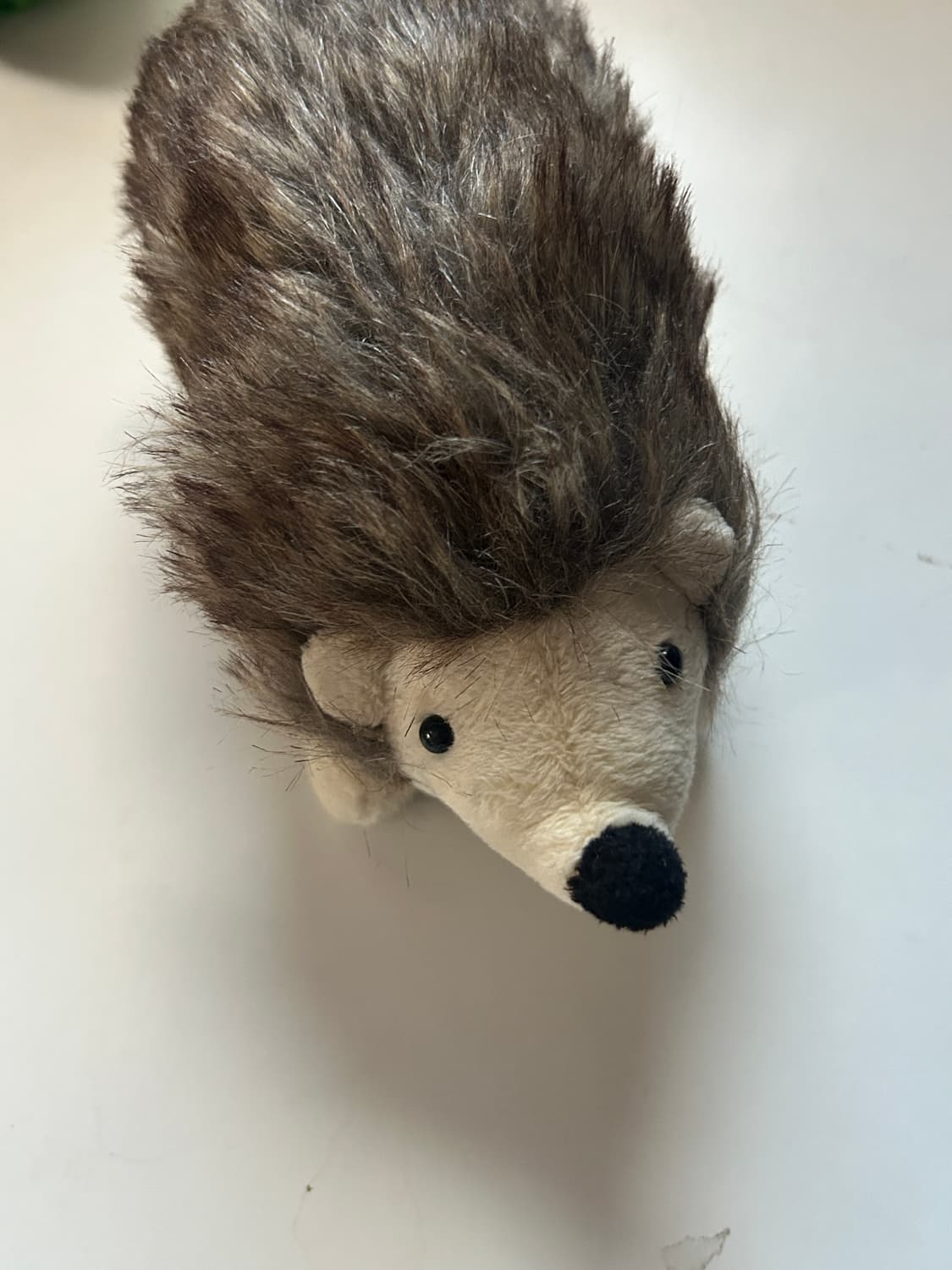 고슴도치 안경케이스  상품이미지8