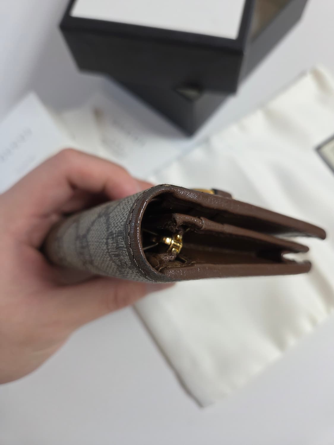 구찌 홀스빗 1955 스몰 지갑 동전지갑 갤러리아 정품 상품이미지9