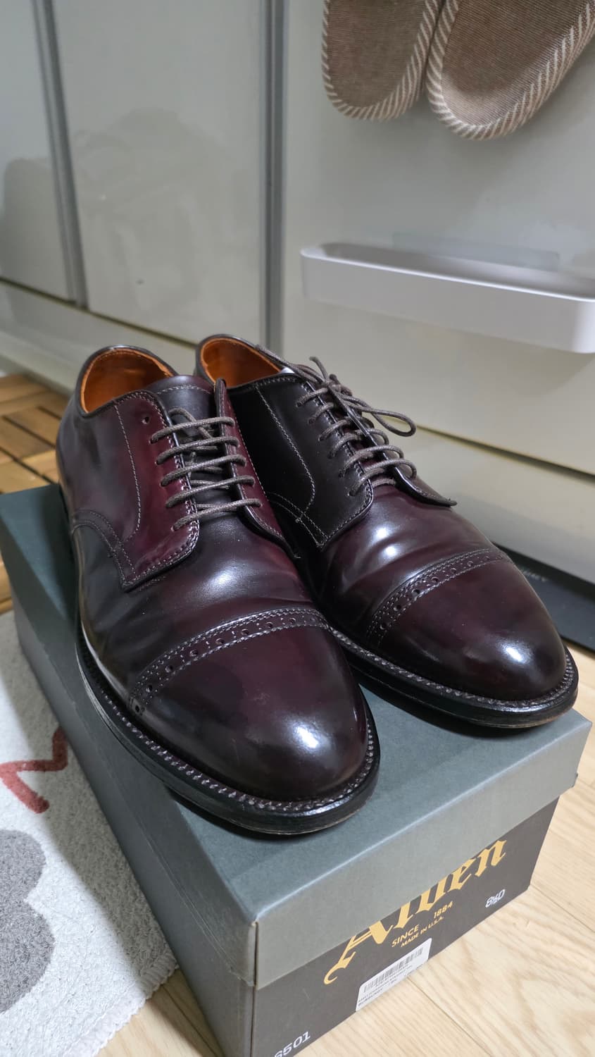 알든 A6501 8.5D 265~270mm 상품이미지1