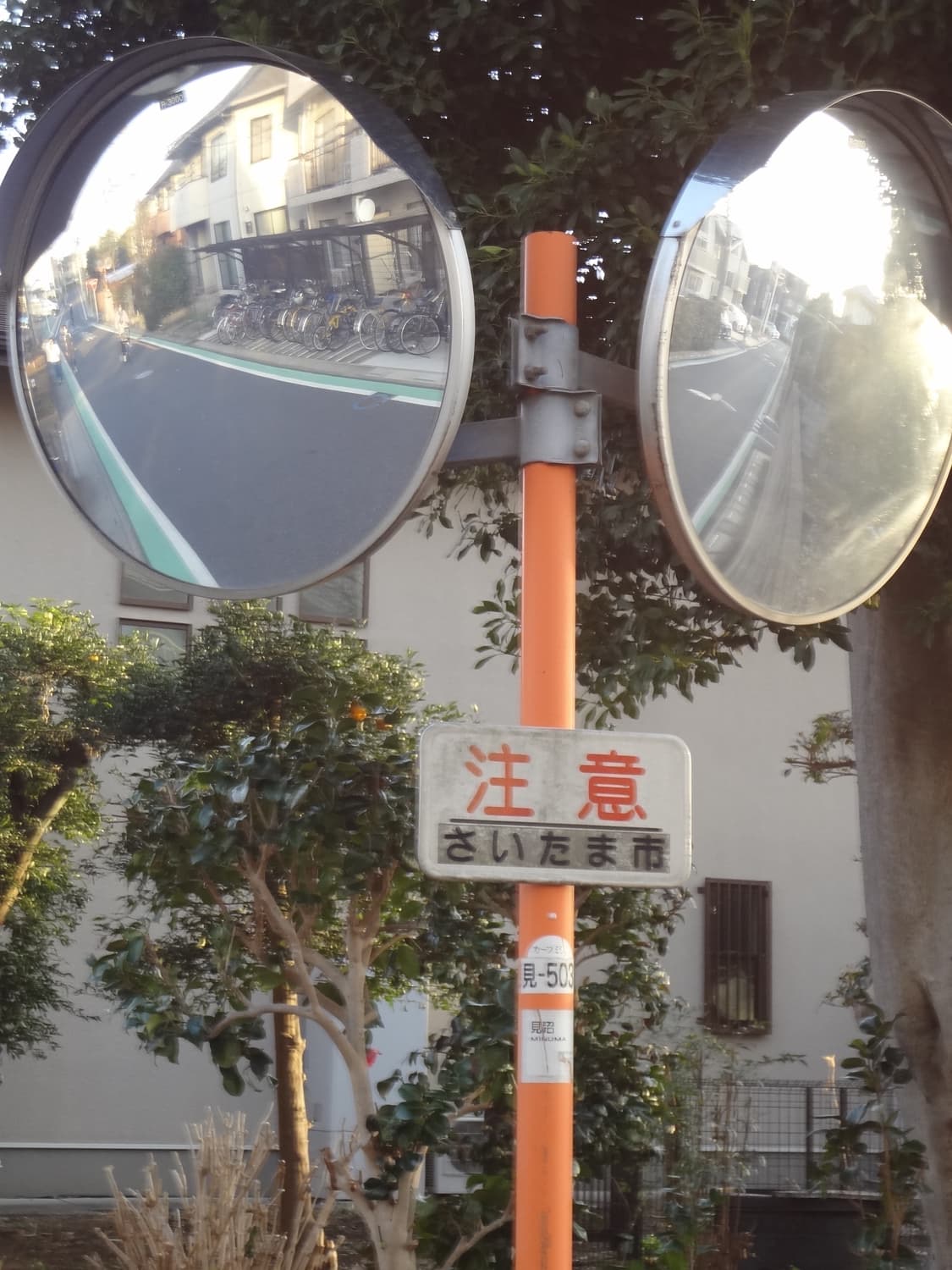 SONY Cyber-shot DSC-WX7 Pink 작례◯ 상품이미지3