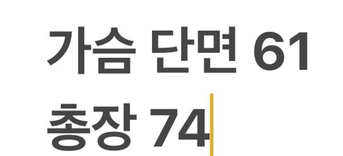 [정품/XXL] 노스페이스 고어텍스 블루 바람막이 자켓 b10 상품이미지9