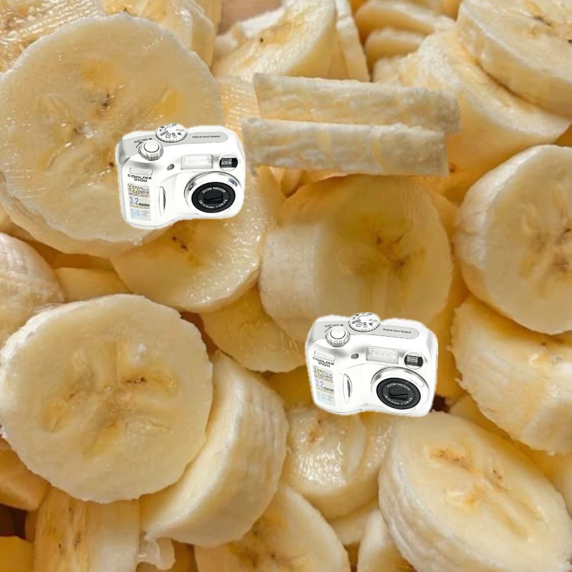 사쿠라 디카&희귀!) Nikon Coolpix 3100 카메라 상품이미지1