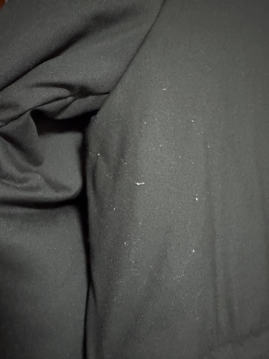 언어펙티드 상품이미지3