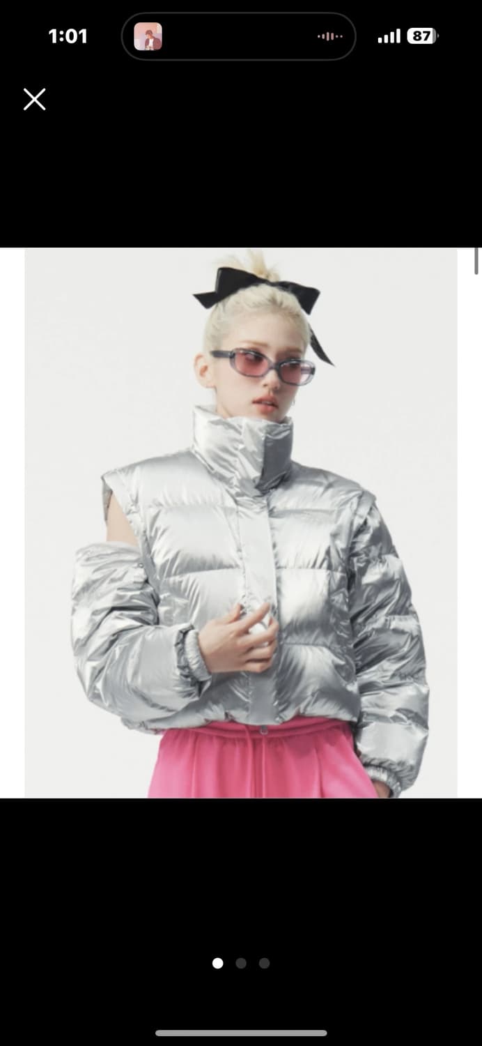 노스페이스 글로시 실버 패딩 상품이미지2