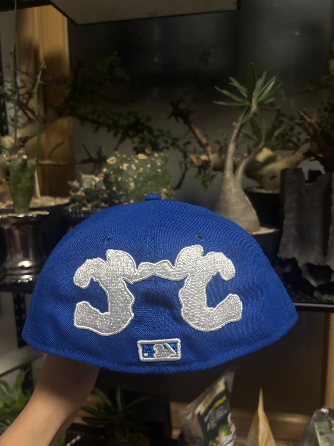 capo 뉴에라 캡 상품이미지5