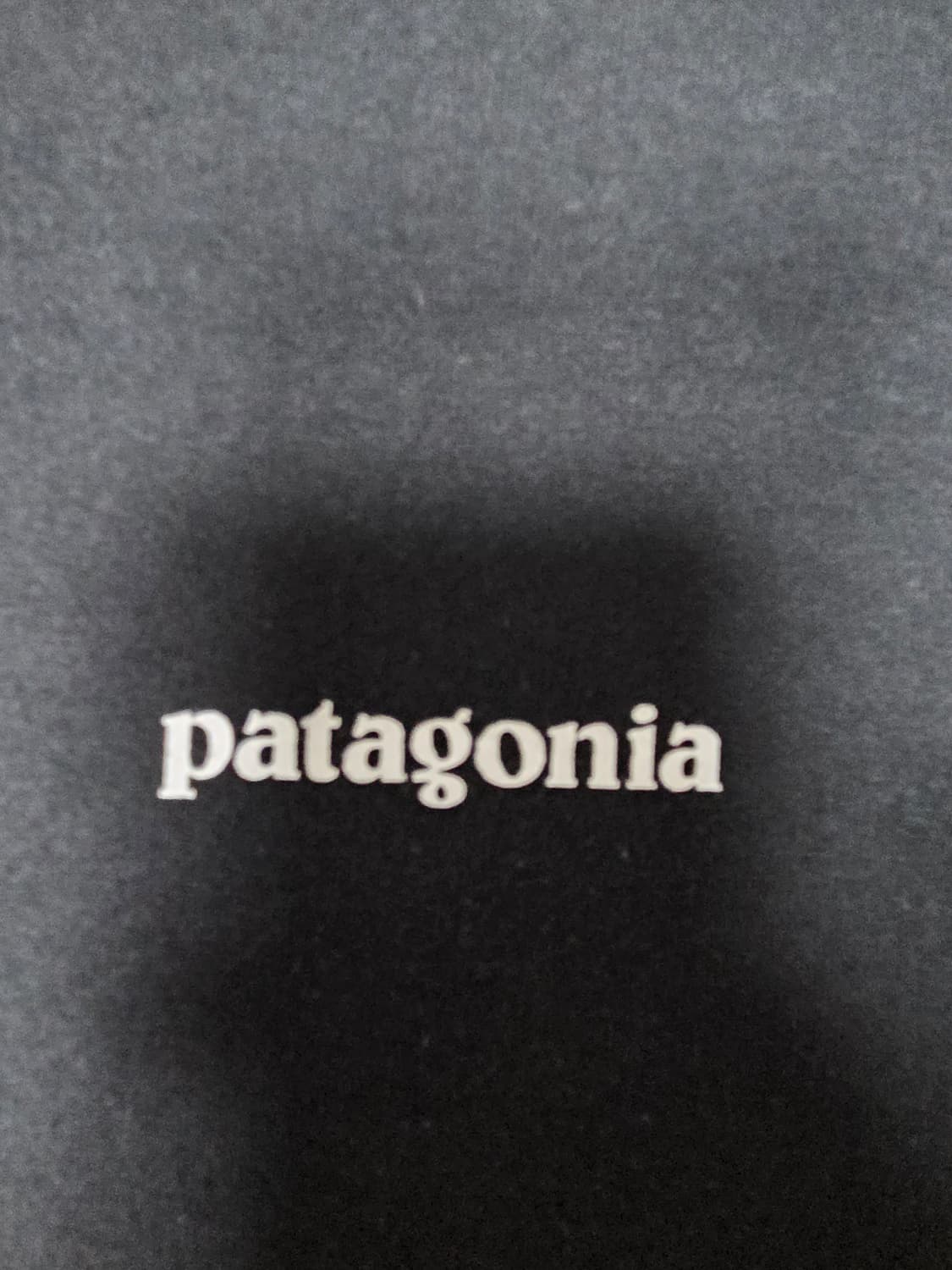 파타고니아 백로고 반팔 티셔츠 상품이미지4
