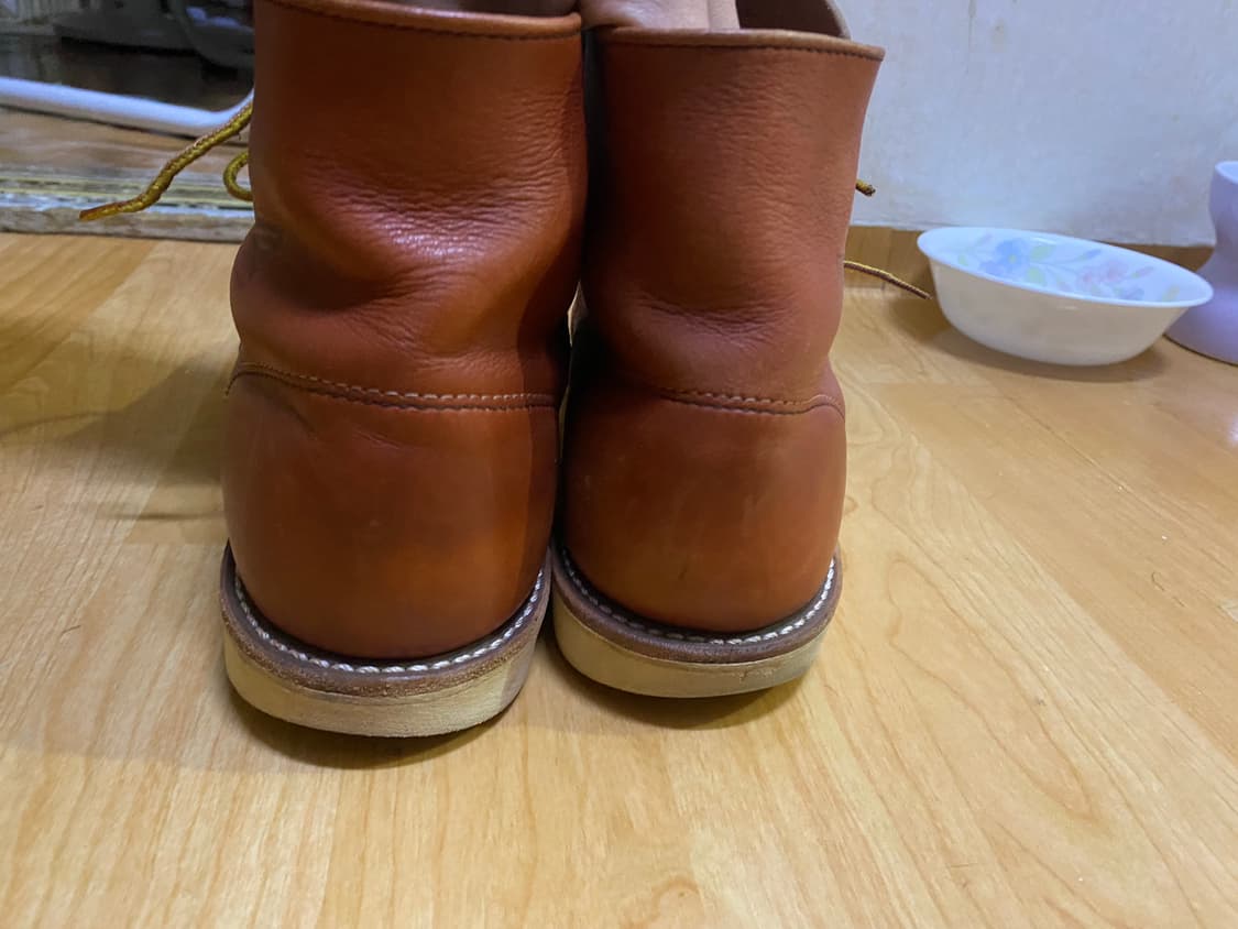 레드윙8166 8D 상품이미지6