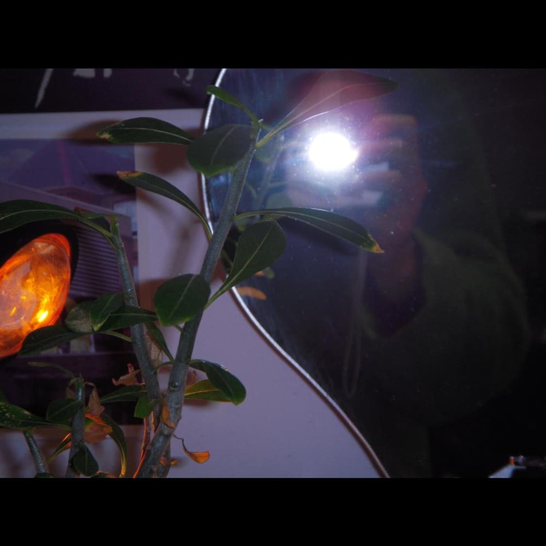 작례⭕️ 니콘 쿨픽스 S52 상품이미지7