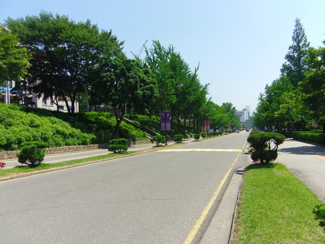 펜탁스 옵티오 SR S1 디카 (빈티지 카메라) 상품이미지8