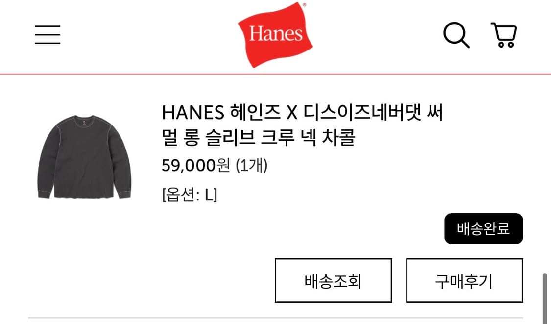 헤인즈 디스이즈네버뎃 상품이미지1