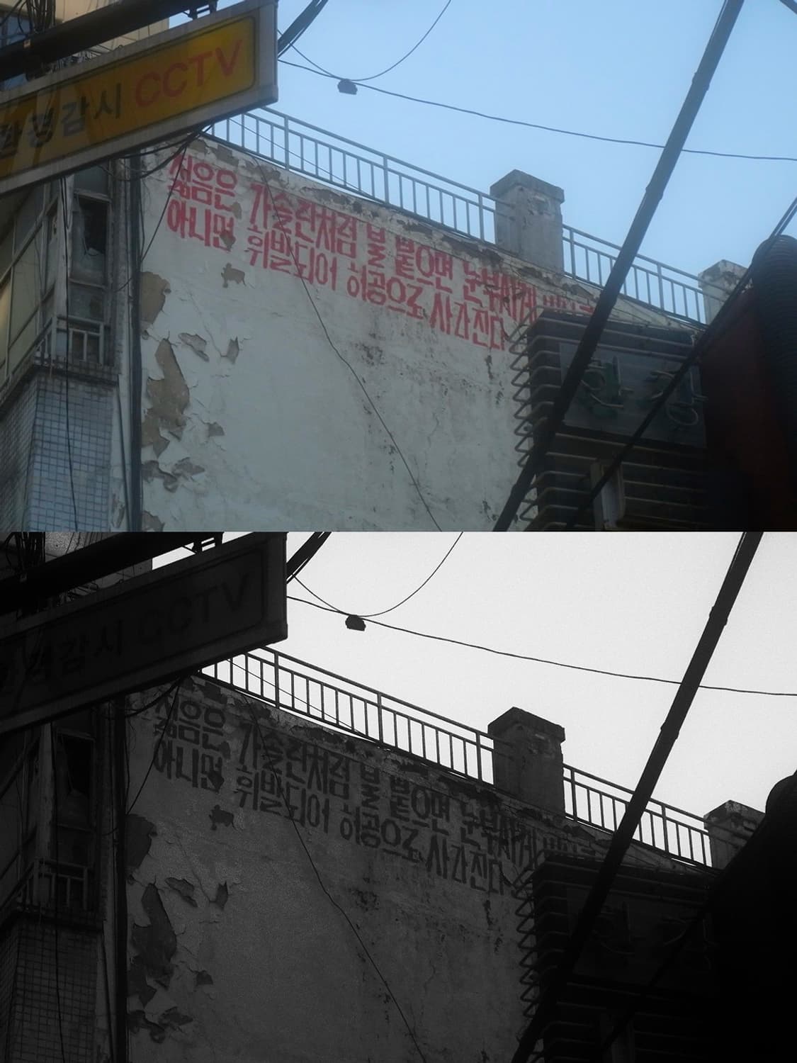 ♣️ 리코 CX2 ♣️ 빈티지 디카 상품이미지6