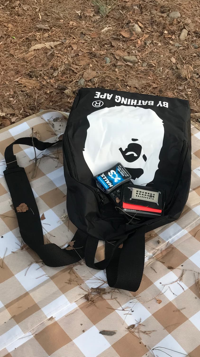 베이프 부록 빅사루 백팩 상품이미지1