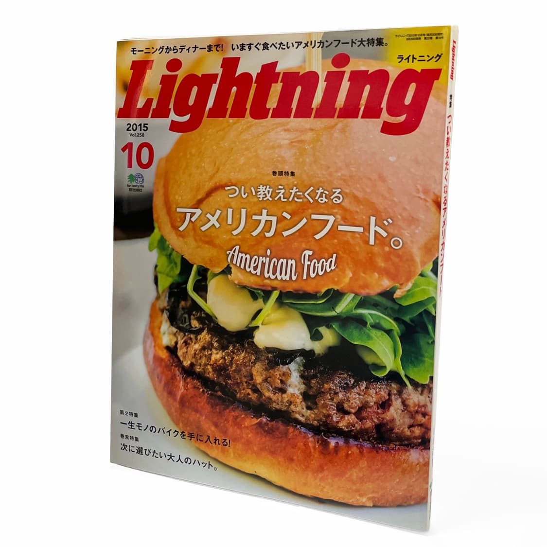 라이트닝 (Lightning) 상품이미지2