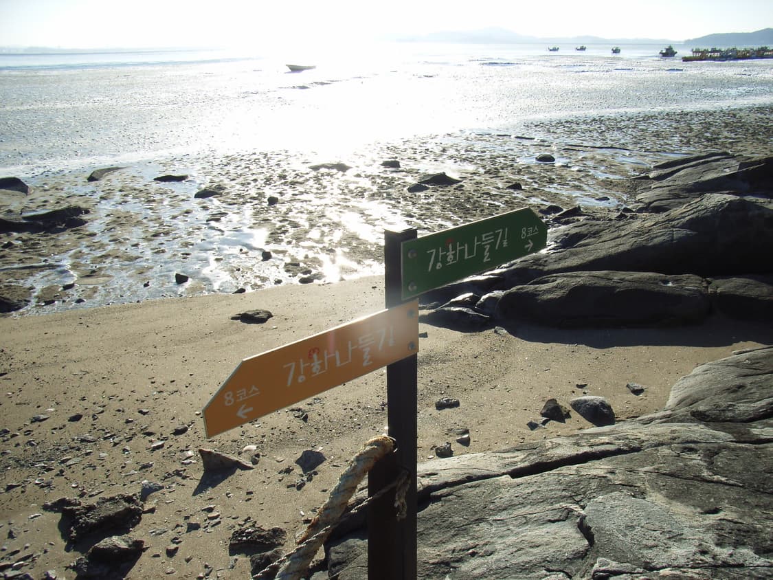 리코 카프리오 RICOH Caplio R1 디카 상품이미지6