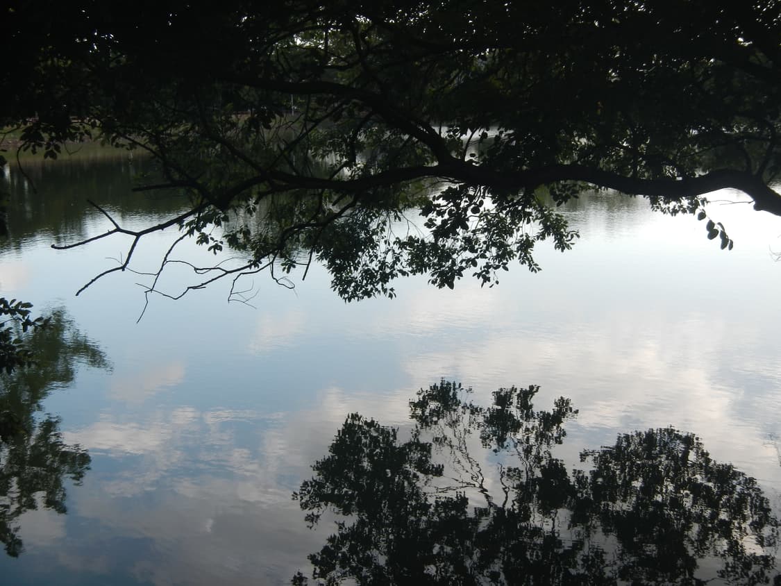 니콘 쿨픽스 aw100 카모 상품이미지10