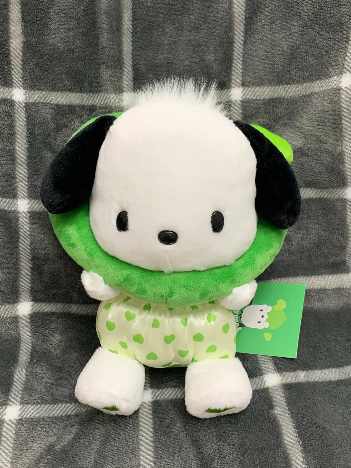 산리오 대상 포차코 컬러풀 하트 인형 상품이미지1