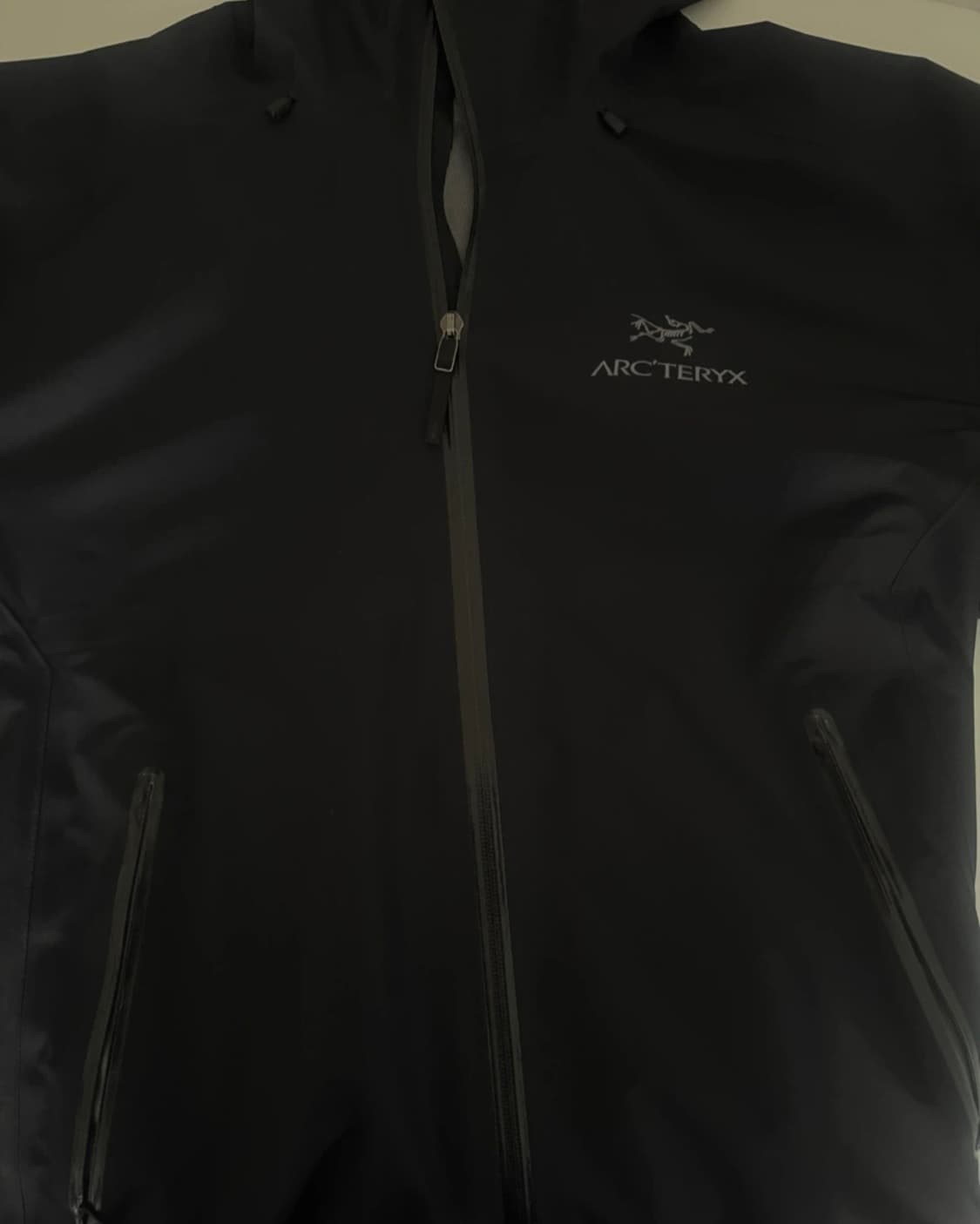 아크테릭스 베타lt 블랙 라지 급처 상품이미지2