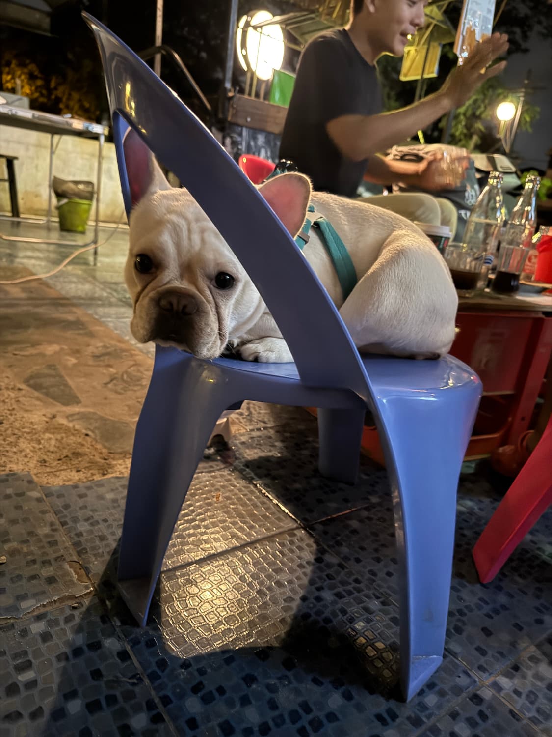 유니클로 르메르 후드티 브라운 상품이미지1