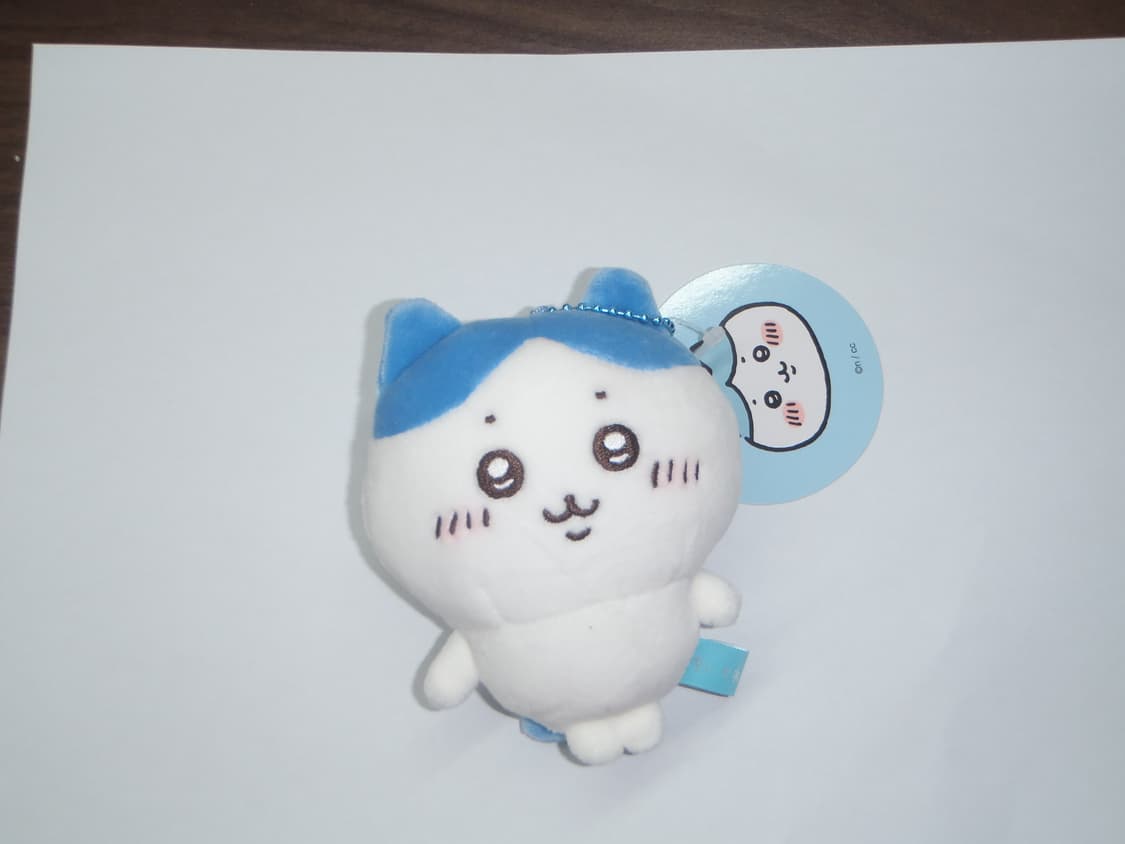 올림푸스 TG-310 풀박스 디지털카메라 디카 상품이미지8