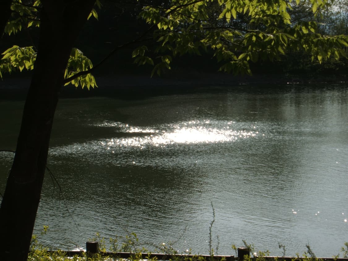 (작례⭕️) 후지필름 파인픽스 f450 상태최상 풀박스 판매 상품이미지10