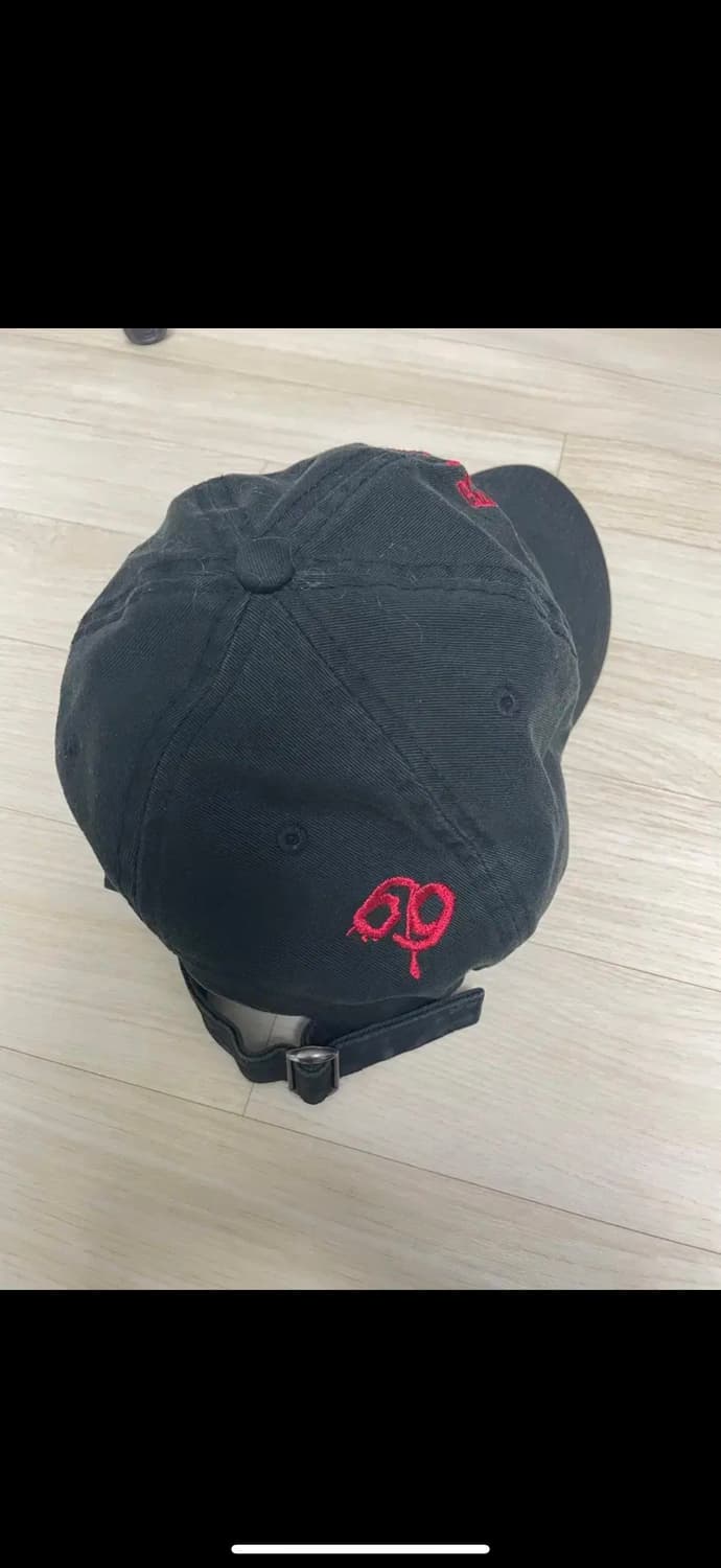 NASASeasons CYBER69 모자 볼캡 상품이미지2