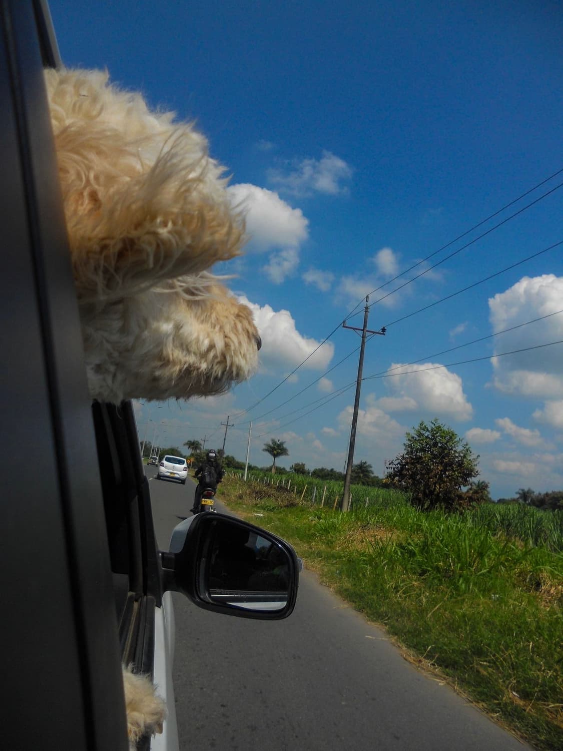 [터치&이모지!] 니콘 쿨픽스 S4000 실버 디지털카메라 상품이미지9