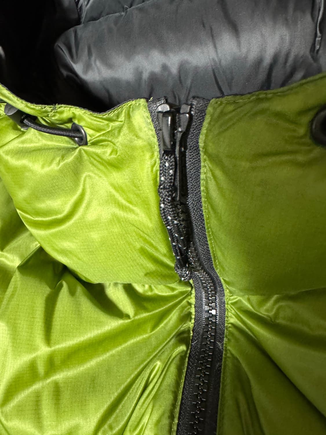 페더드프렌즈 구형 헬리오스 그라스 grass L 상품이미지4