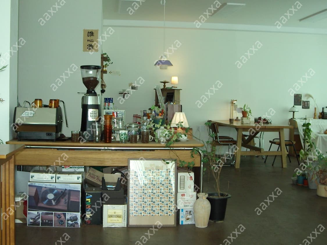 [풀박, 작례⭕️] 펜탁스 옵티오 230 pentax optio 상품이미지7