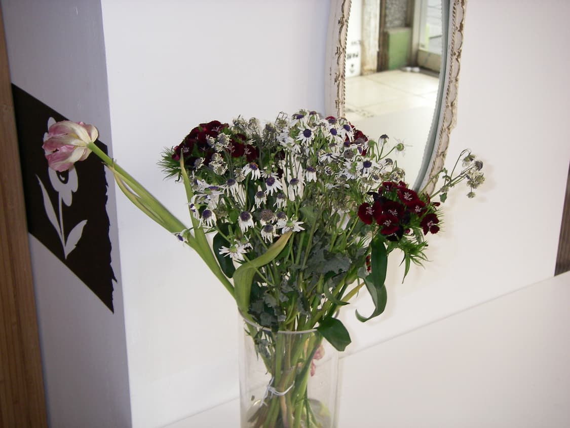 Pentax optio w10 빈티지 디카 (mint) 상품이미지4