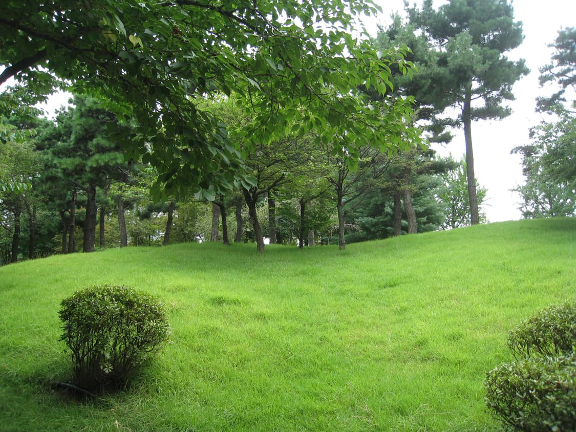 캐몬 익서스 860 상품이미지7
