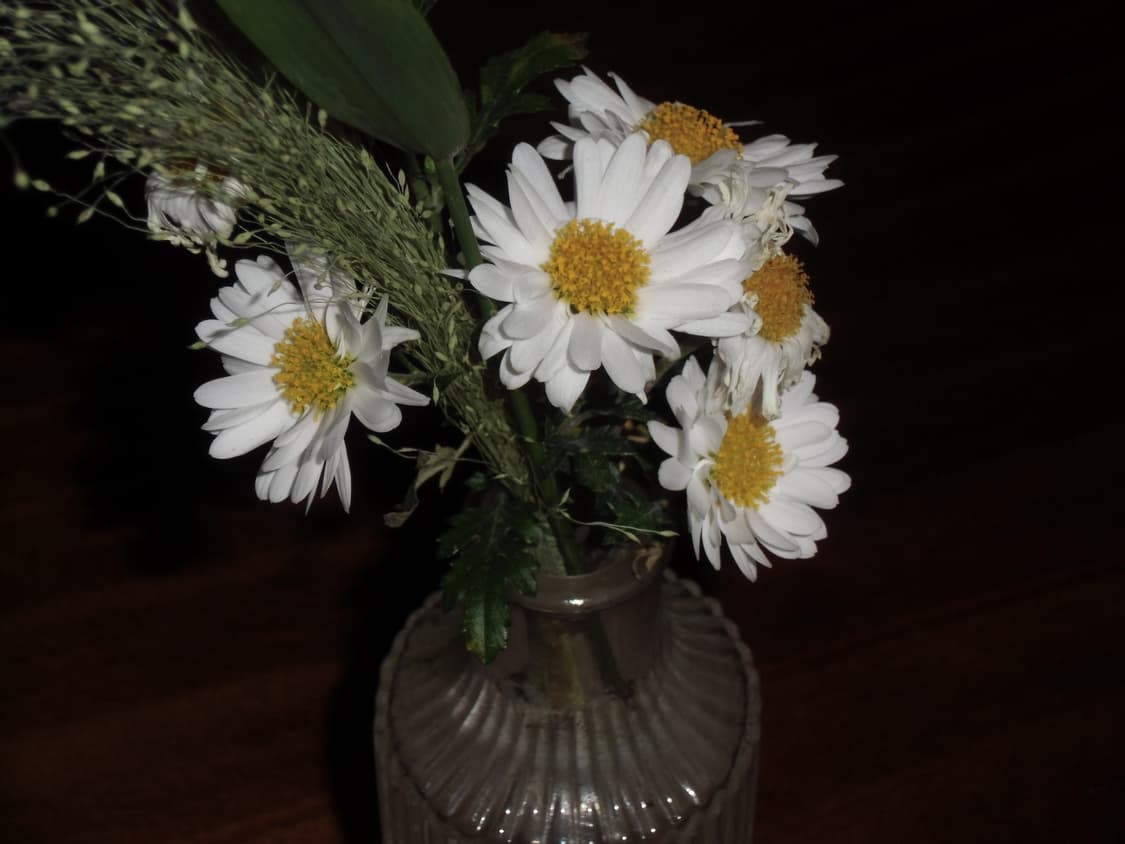 카시오 EX-ZS150 판매(작례 있음) 상품이미지8