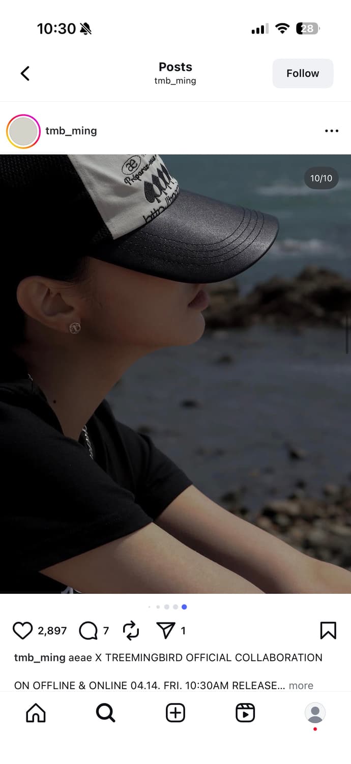aeae X TREEMINGBIRD | web logo mesh cap 상품이미지8