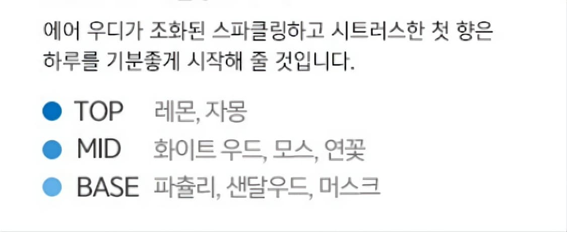 메르세데스 벤츠 맨 블루 오드뚜왈렛 100ml 상품이미지6
