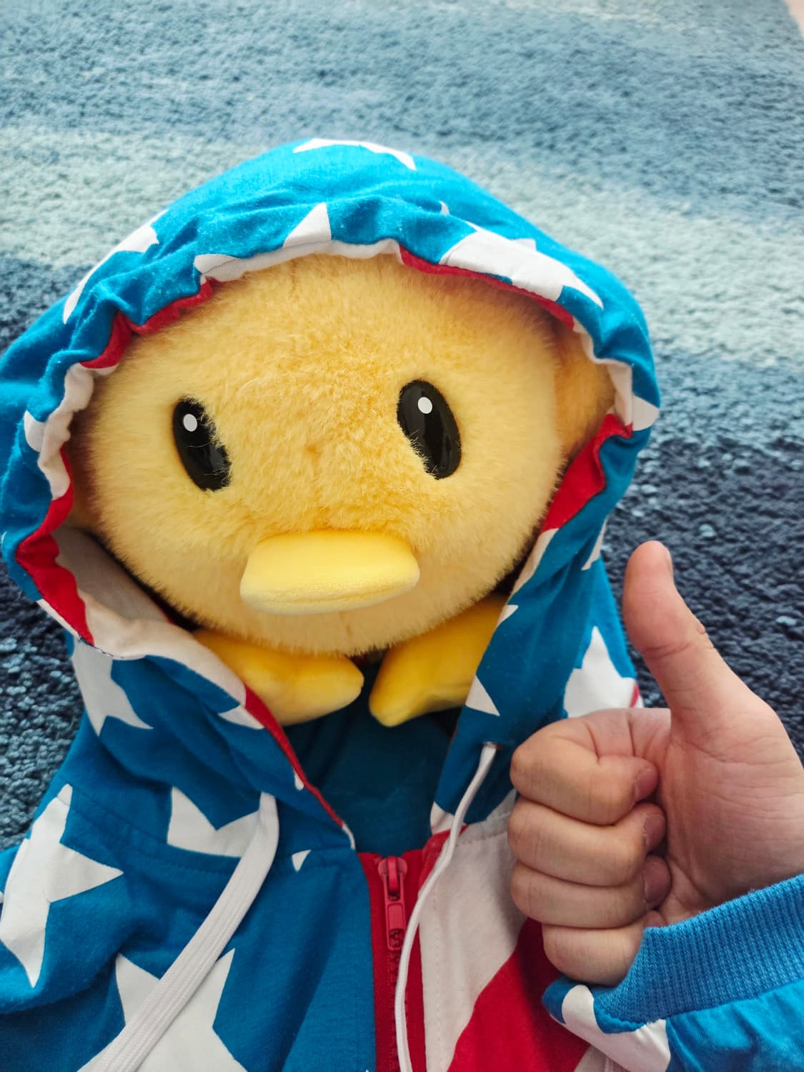 Y2k 미국 국기 반소매 아메리카 프린팅 후드집업 상품이미지2